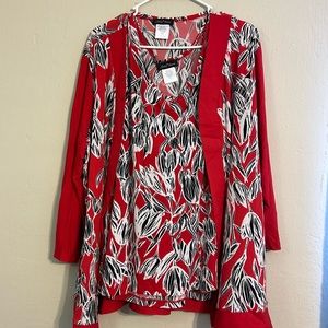 Slinky brand outfit set